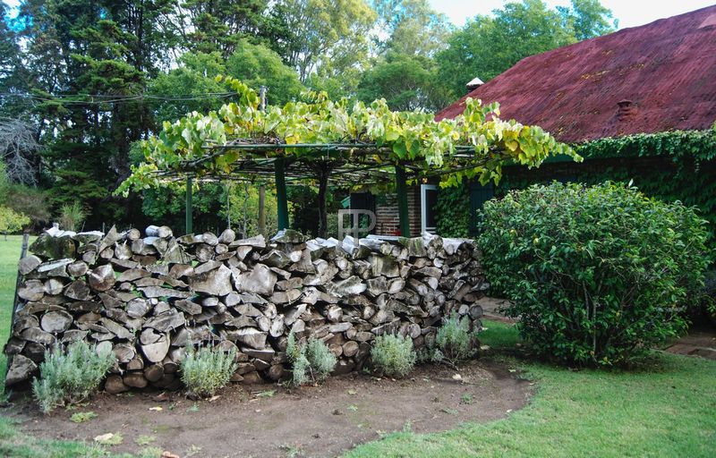 Jardin: muro de piedra